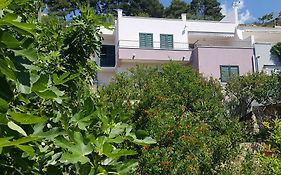 Apartments Pero