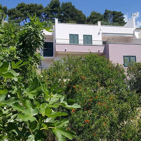 Apartments Pero Podgora Exteriér fotografie