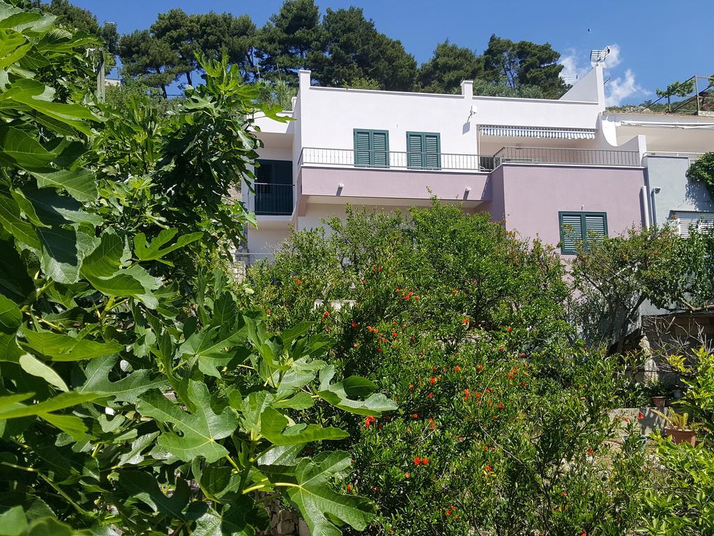 Apartments Pero Podgora Exteriér fotografie